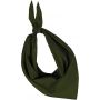 Kup Fiesta bandana, Olive