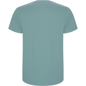 Roly Stafford gyerek pamutpl, Dusty Blue (T-shirt, pl, 90-100% pamut)